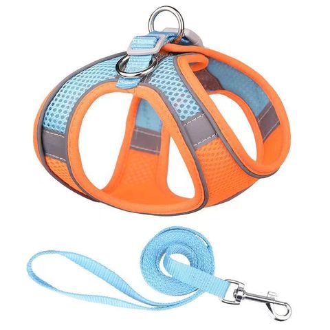 Simple Style Polyester Color Block Grid Leash