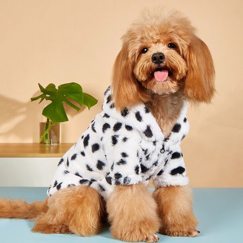 Basic Polyester Color Block Pet Clothing