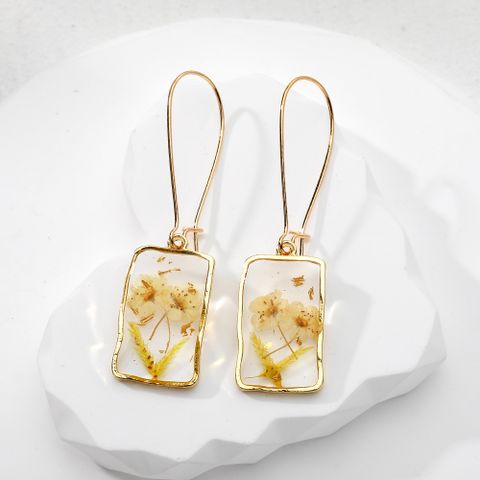 1 Pair Casual Vacation Simple Style Plant Rectangle Resin Drop Earrings