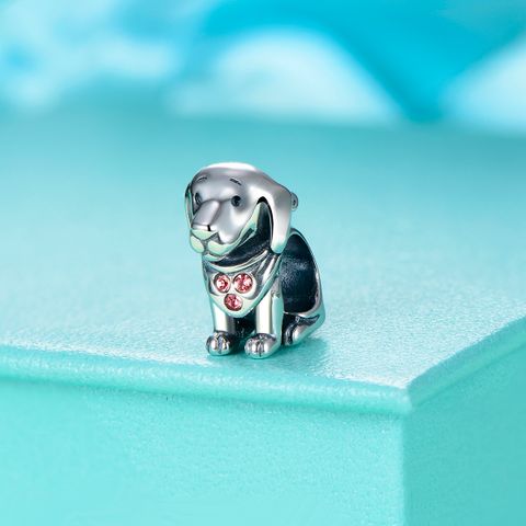 Casual Dog Sterling Silver Handmade Plating Inlay Zircon Rhodium Plated Jewelry Accessories
