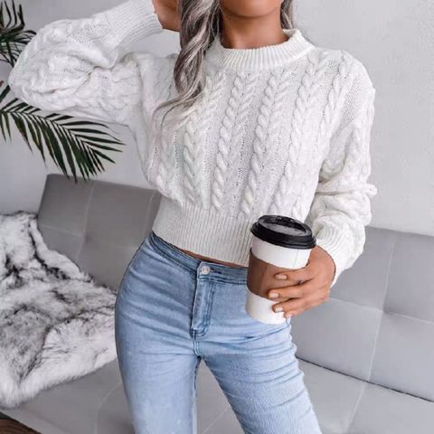 Women's Sweater Long Sleeve Sweaters & Cardigans Braid Casual Fashion Solid Color
