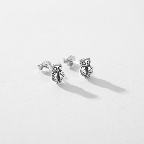 1 Pair Ins Style Vintage Style Owl Sterling Silver Rhodium Plated Ear Studs