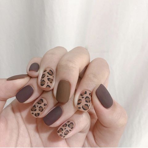 Casual Solid Color Leopard Stickers Nail Decoration Accessories 1 Piece
