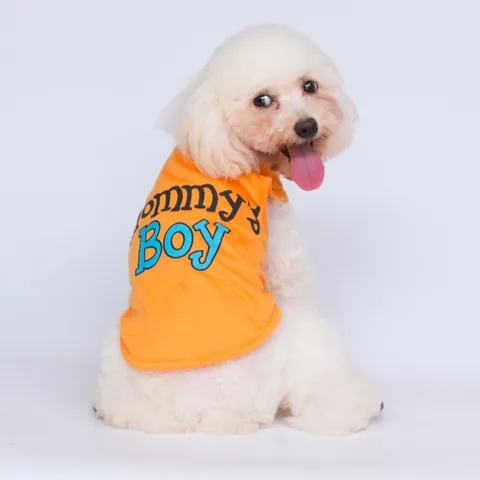 Pet Dog Casual Cotton Letter Pattern Clothes