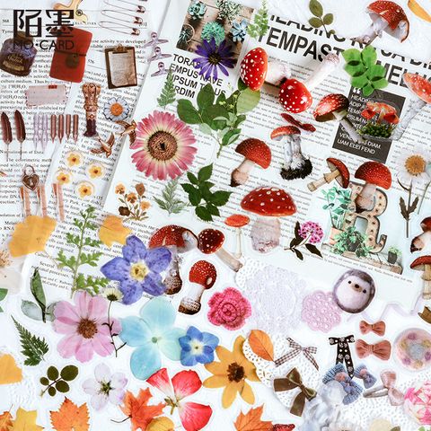 Mocard Pet Sticker Package Jenny's Man Time Series Plant Creative Journal Material Diy Decorative Sticker 8 Models