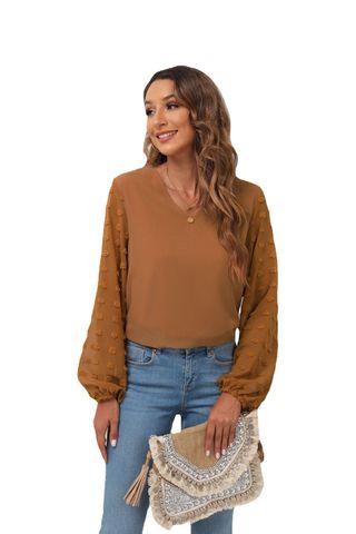 Women's Chiffon Shirt Long Sleeve Blouses Simple Style Solid Color