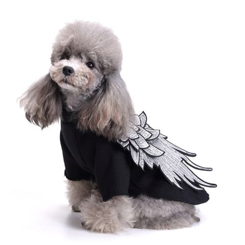 Ropa De Perro Alas Ropa De Otoño Pequeño Perro Ropa Alas