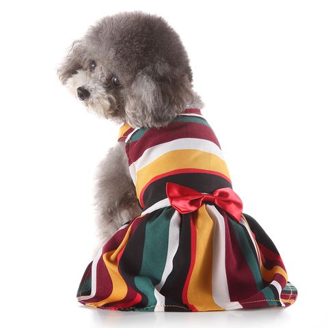 Pet Supplies  New Pet Clothes Rainbow Skirt Spring And Summer Pet Clothing Leopard Print