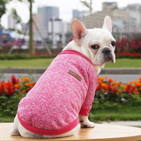 New Simple Dog Cat Pet Autumn Winter Sweater