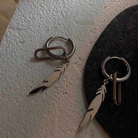 1 Pair Simple Style Feather Polishing Titanium Steel Drop Earrings