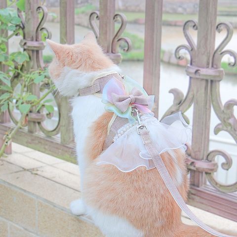 Simple Style Classic Style Polyester Color Block Leash