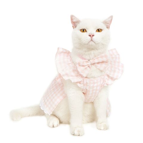 Sweet Polyester Cotton Lattice Bow Knot Pet Clothing