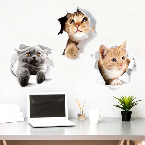 Cute Vacation Cat Pvca Wallpapers Wall Art