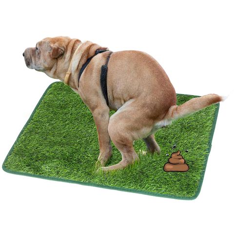 Simple Style Pe Solid Color Pet Pad