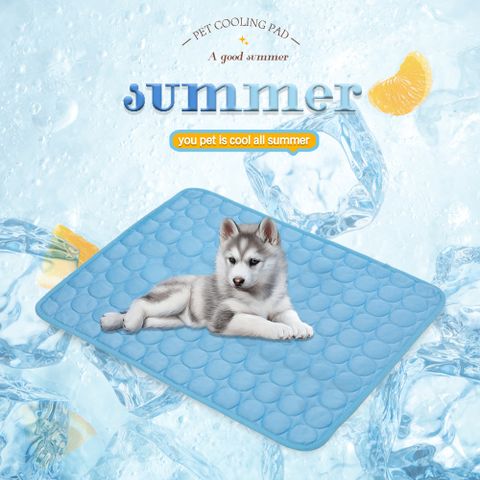 Simple Style Cloth Solid Color Pet Pad