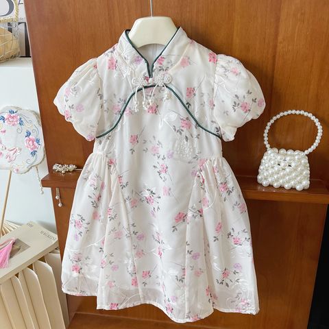 Chinoiserie Classical Ditsy Floral Embroidery Lace Bowknot Polyester Girls Dresses