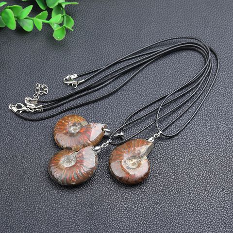 Simple Style Conch Ammolite Pendant Necklace In Bulk