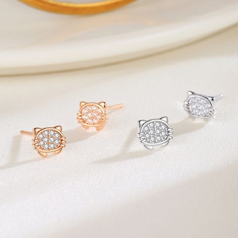 1 Pair Cute Sweet Shiny Cat Plating Inlay Sterling Silver Zircon Ear Studs