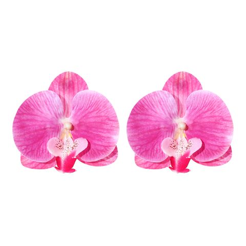1 Pair Simple Style Flower Flowers Plastic Ear Studs