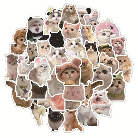 1 Set Cat Class Learning Pp Cute Stickers