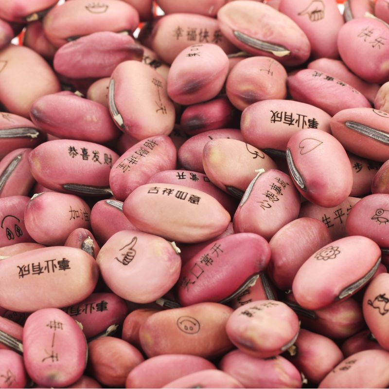 Opk Großhandel Direkt Vertrieb Magic Bean Samen Mini Pflanzen Segen Liebe Akazien Bohnen Großhandel