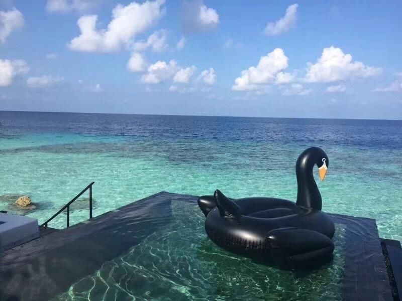 Wanmei Großhandel Aufblasbare Schwarze Schwäne Schwimmende Reihe Für Erwachsene, Die Im Wasser Spielen Aufblasbares Roségold Flamingo Reittier Farbe Pegasus