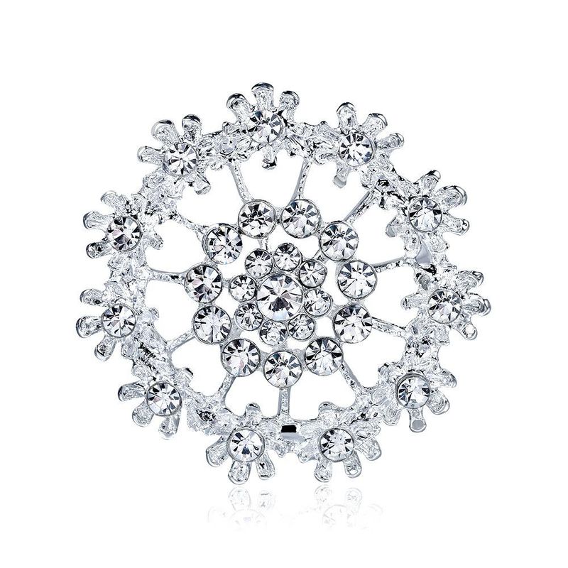 Fashion Wild Rhinestone Brooch Nhdr145789