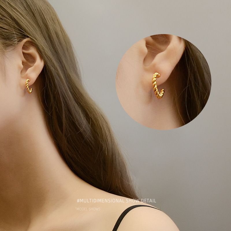 Fashion Twist Titanium Steel Hypoallergenic Necklace Earring Set For Women