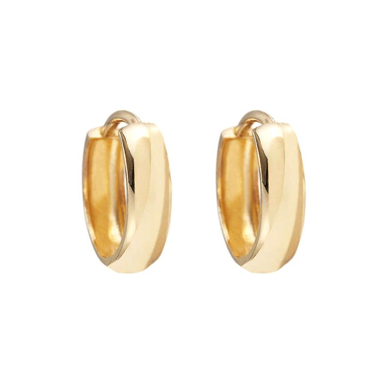 European And American Jewelry Wholesale Geometric U-shaped Earrings Personality