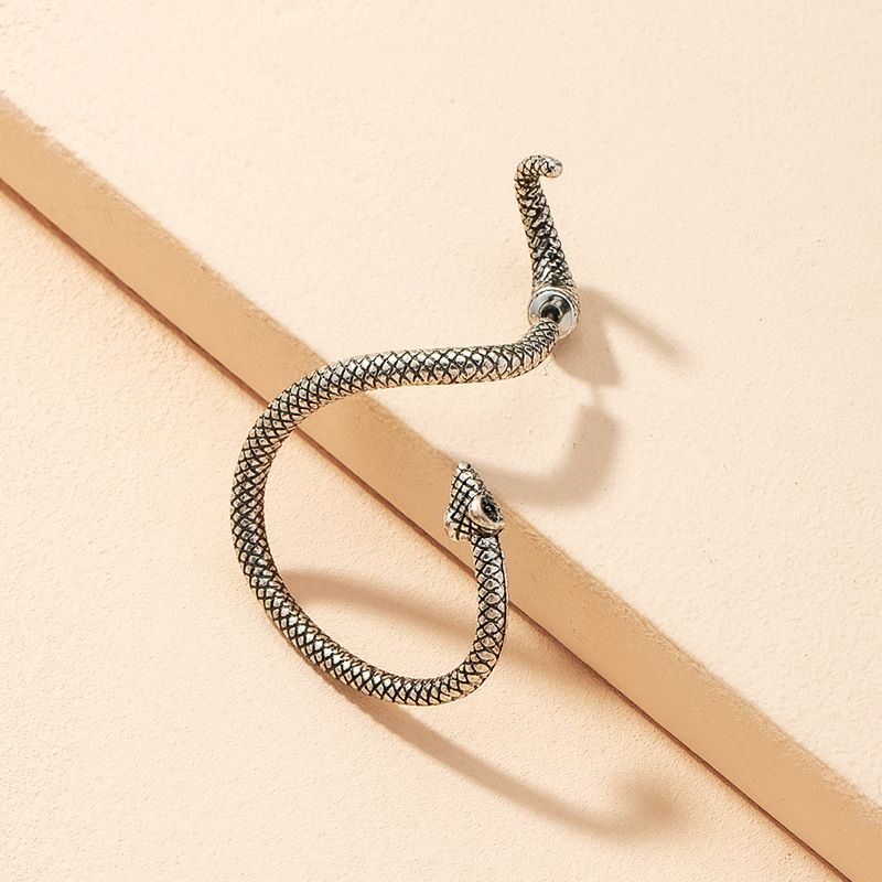 Exaggerated Fashion Retro Snake-shaped Earrings