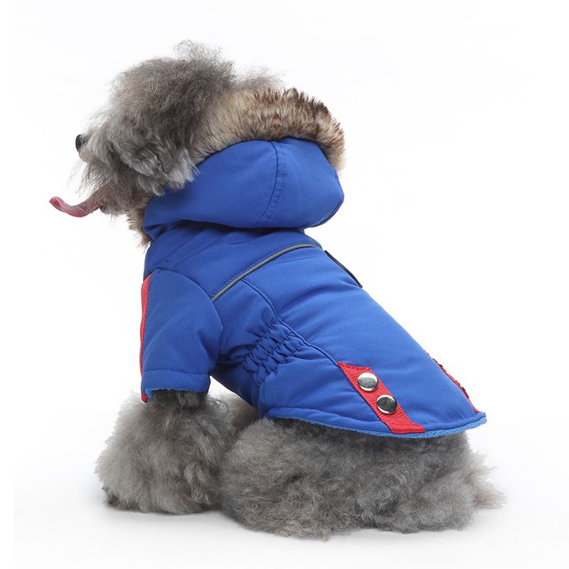 Casual Polyester Solid Color Pet Clothing 1 Piece
