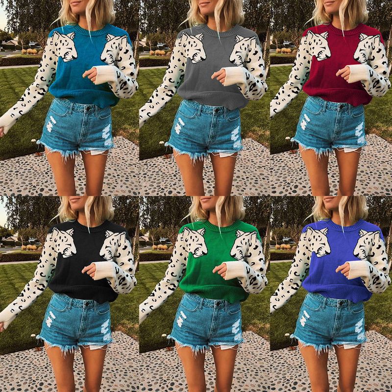 Women's Sweater Long Sleeve Sweaters & Cardigans Rib-knit Hollow Out Fashion Color Block Leopard