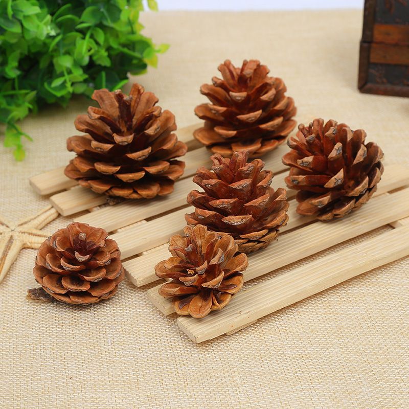 Christmas Pine Cones Wood Party Ornaments 1 Piece