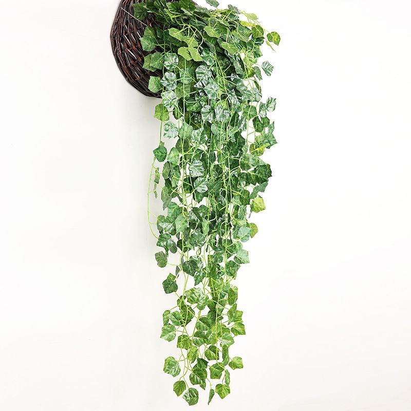 Einfacher Stil Anlage Kunststoff Seidentuch Nachgemachte Pflanzen 1 Stück