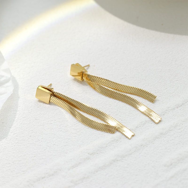 Fashion Tassel Titanium Steel Plating Dangling Earrings 1 Pair