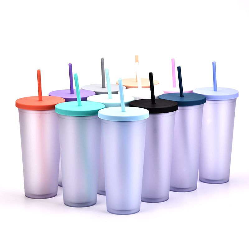 2022 New Double Plastic Straw Cup Outdoor Sports Cup