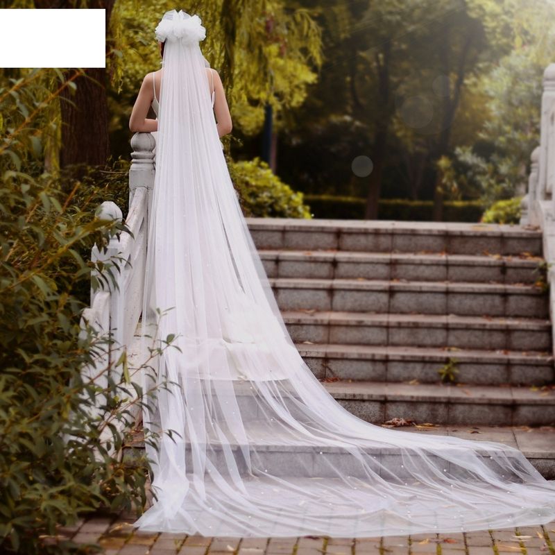 Fashion Trailing Bride Veil With Hair Comb Wedding Veil