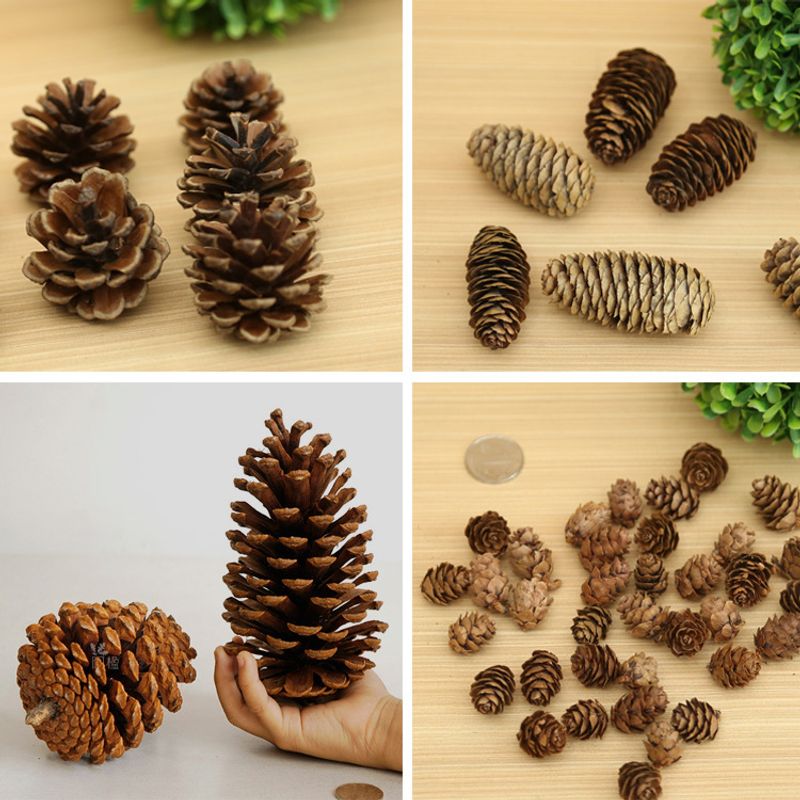 Christmas Pine Cones Wood Party Decorative Props