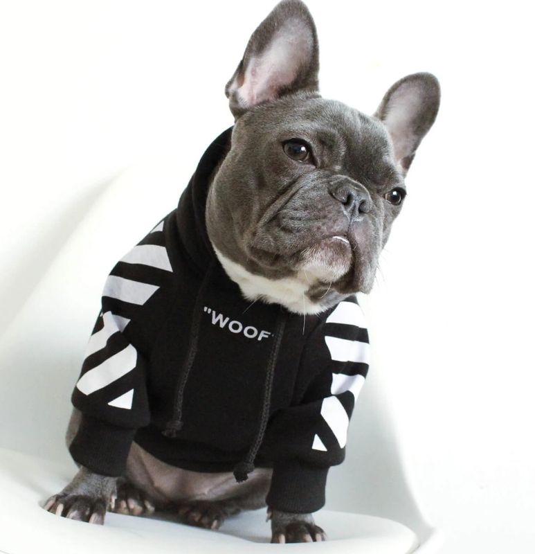 Fashion Polyester Letter Stripe Pet Clothing 1 Piece
