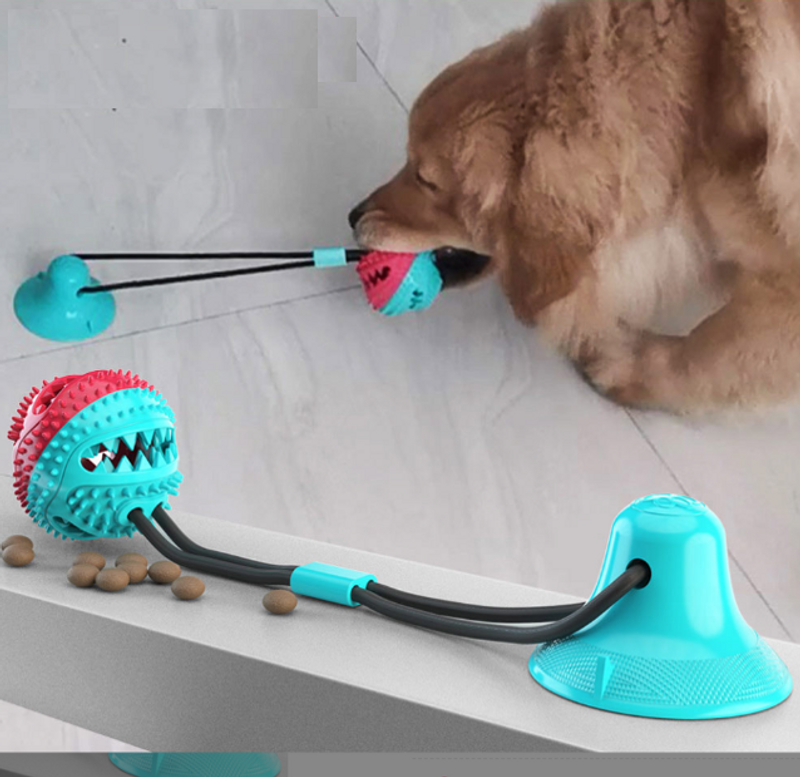 Sucker Ball Dog Toy