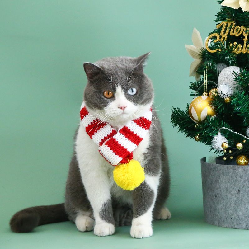 Estilo Británico Tejer Navidad Raya Bufanda Para Mascotas