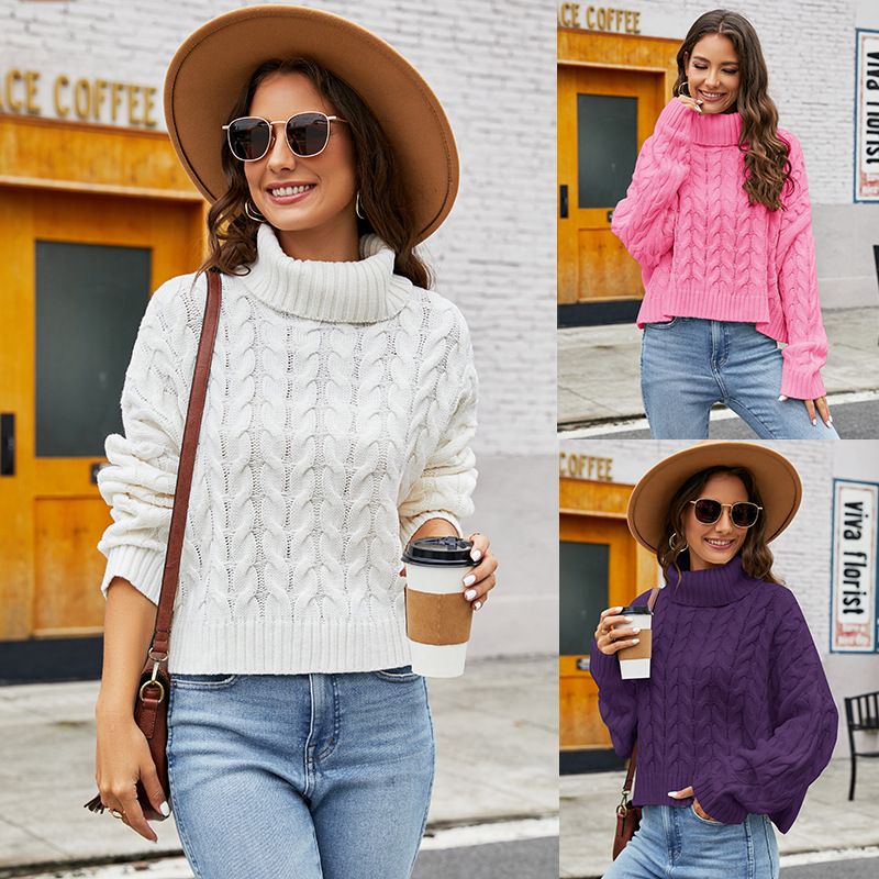 Women's Sweater Long Sleeve Sweaters & Cardigans Casual Simple Style Solid Color