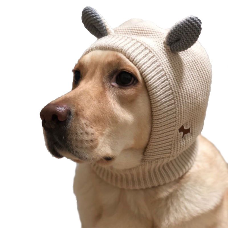 Basic Yarn Dog Embroidery Pet Hat