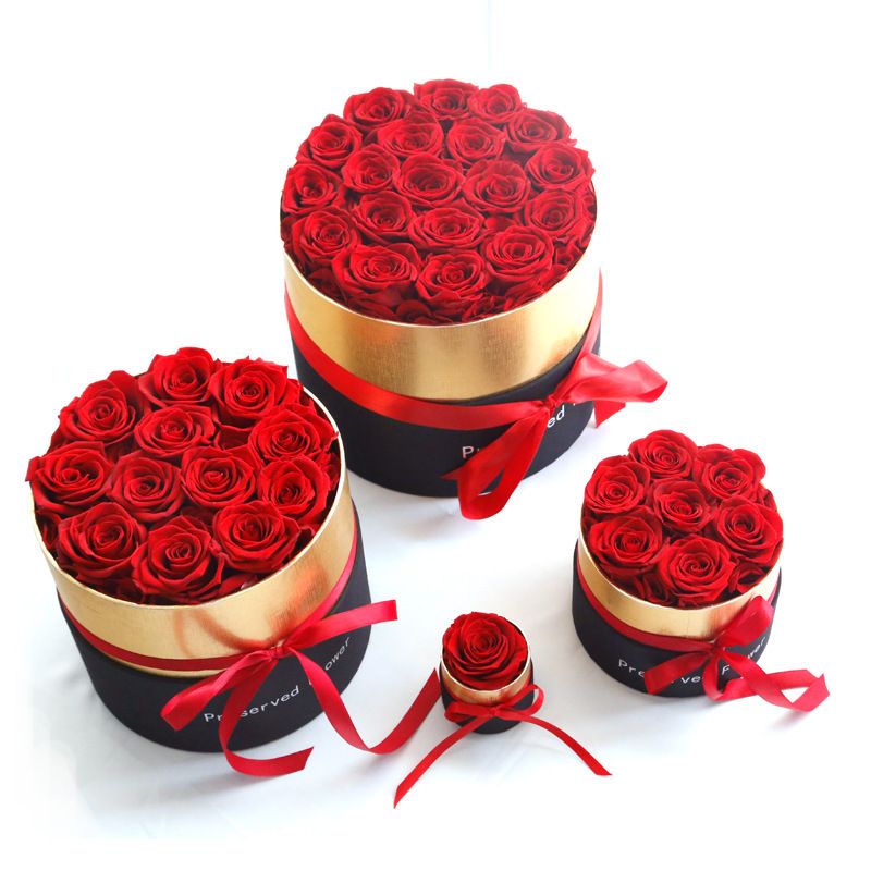 Weihnachten Valentinstag Neujahr Romantisch Süss Rose Ewigkeit Blume Gruppe Datum Festival Rose