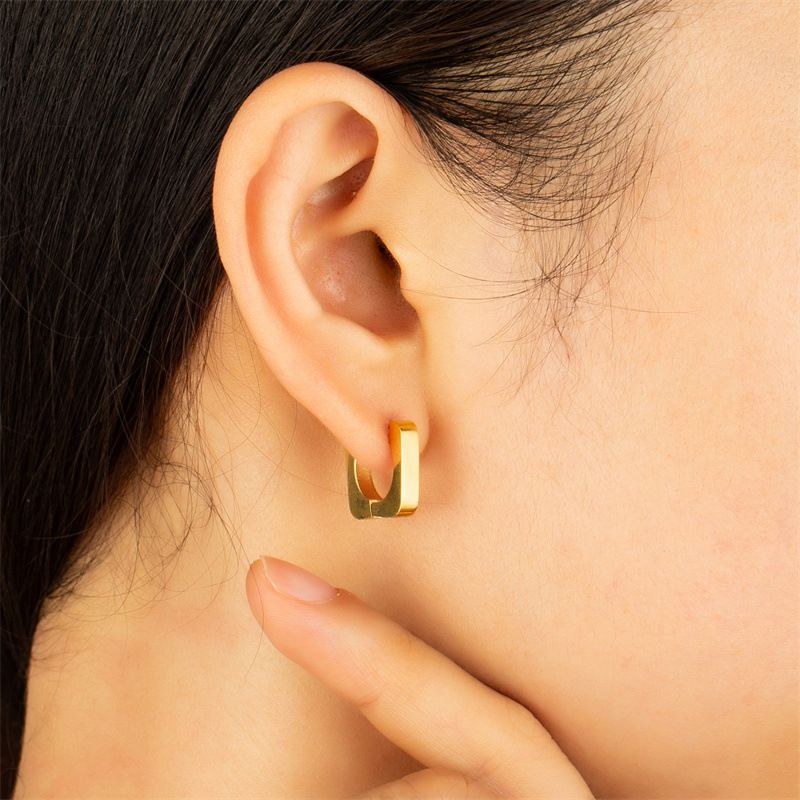 1 Paire Style Simple Géométrique Placage Incruster Argent Sterling Opale Zircon Des Boucles D'oreilles