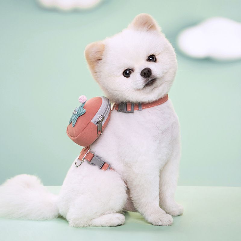 Cute Polyester Solid Color Leash