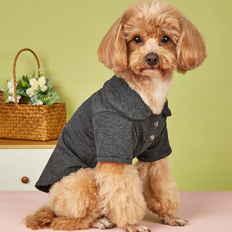 Einfacher Stil Polyester Einfarbig Kleidung Für Haustiere