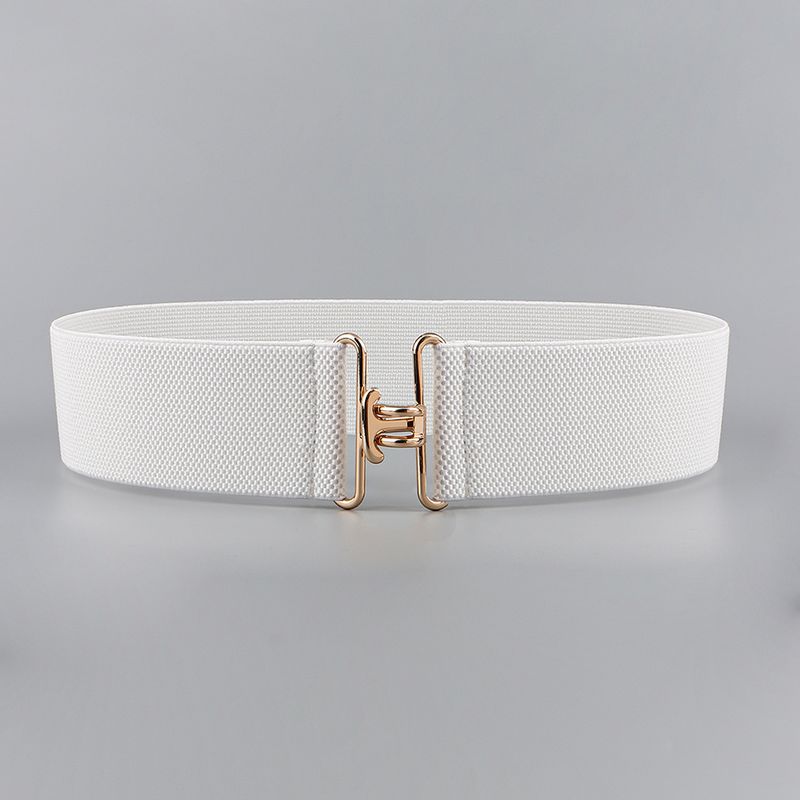 Vacation Formal Simple Style Color Block Alloy Buckle Women's Woven Belts