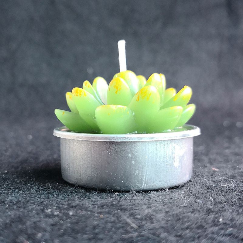 Pastoral Einfacher Stil Kaktus Paraffin Kerze