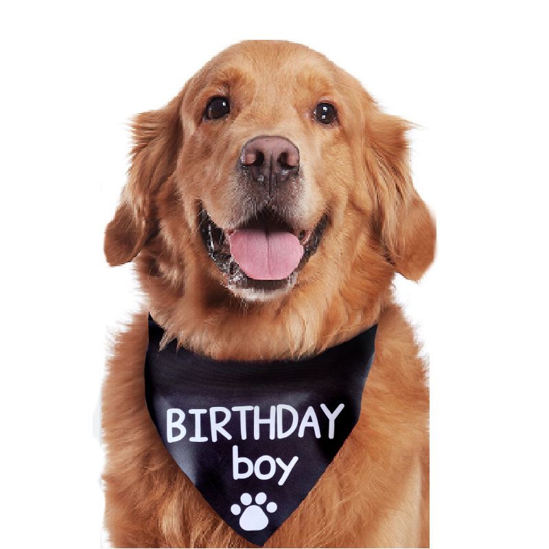 Cute Satin Cloth Birthday Letter Pet Scarf